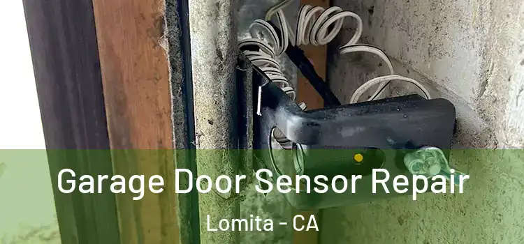 Garage Door Sensor Repair Lomita - CA